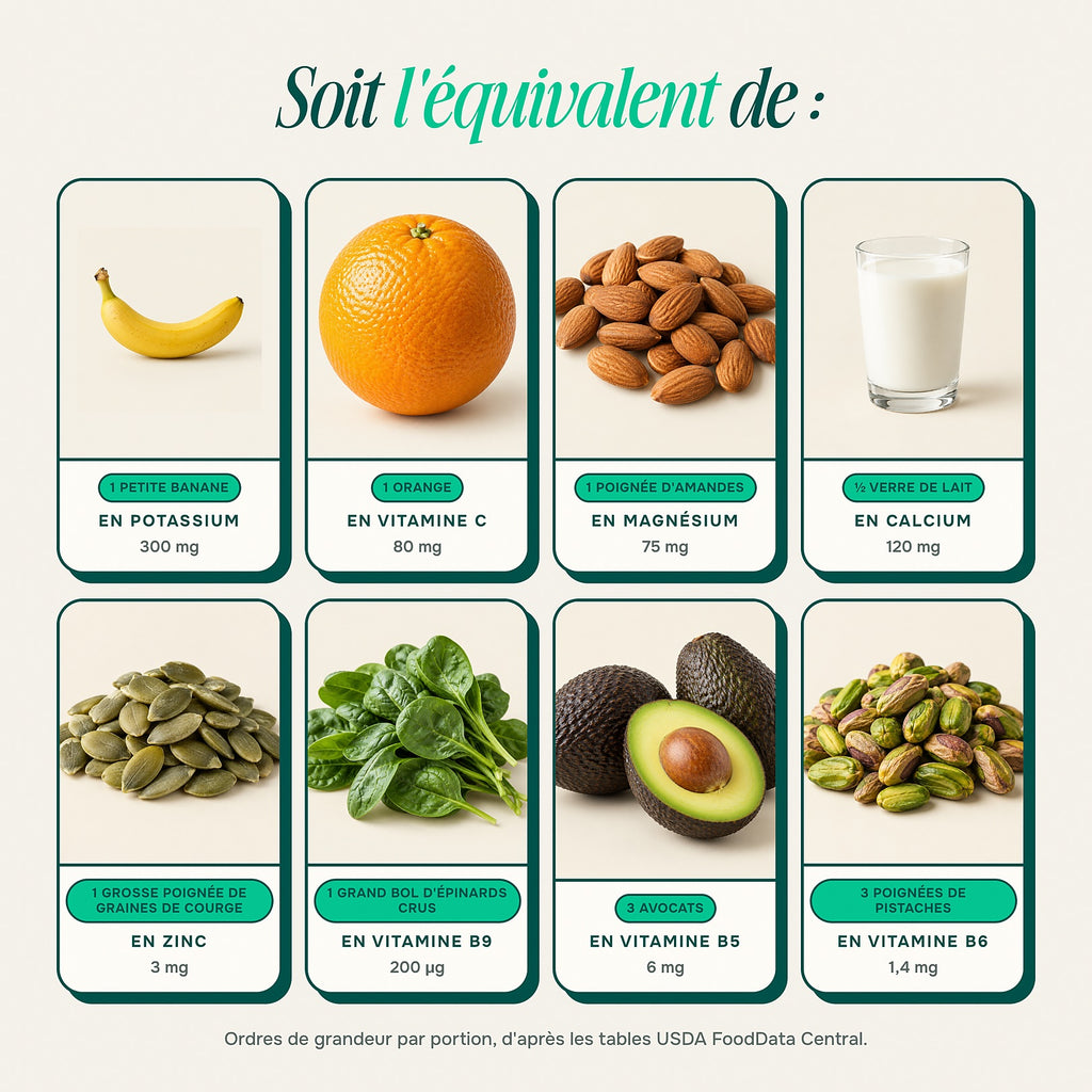Soit l'équivalent de : aliments pour chaque nutriment